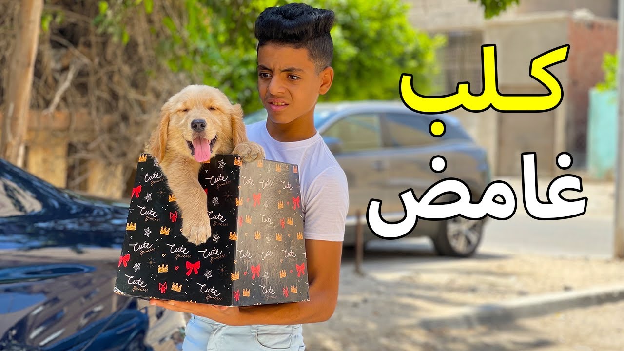 ولد يحصل علي كلب غريب في صندوق غامض !!