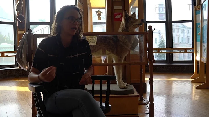 STEMM Diversity | Diversit STIMM: Kathryn Lande