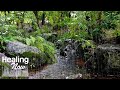 Rain Sounds In A Refreshing Small Stream Nature Sound For Sleep Relaxation And Study White Noise