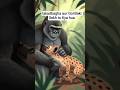 lakadbaggha aur Gorilla ki Sekh🦍#trending #viral #ai #animals #Gorilla #lakadbaggha #shorts #youtube