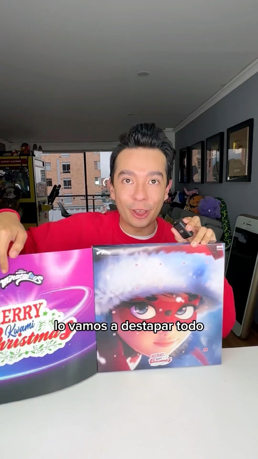 Calendario de Adviento Miraculous ?