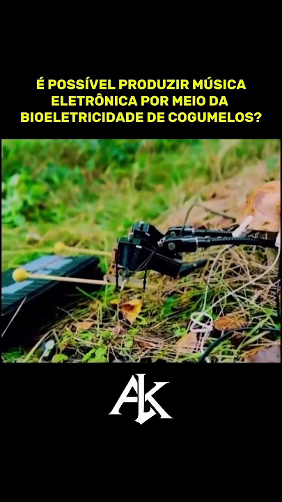 Musica dos Cogumelos Magicos 😵💫🥹🍄🎶