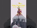 Shri Jagannath swami darshan #jagannathtemple #jagannath #puri #radheshyam #aishorts