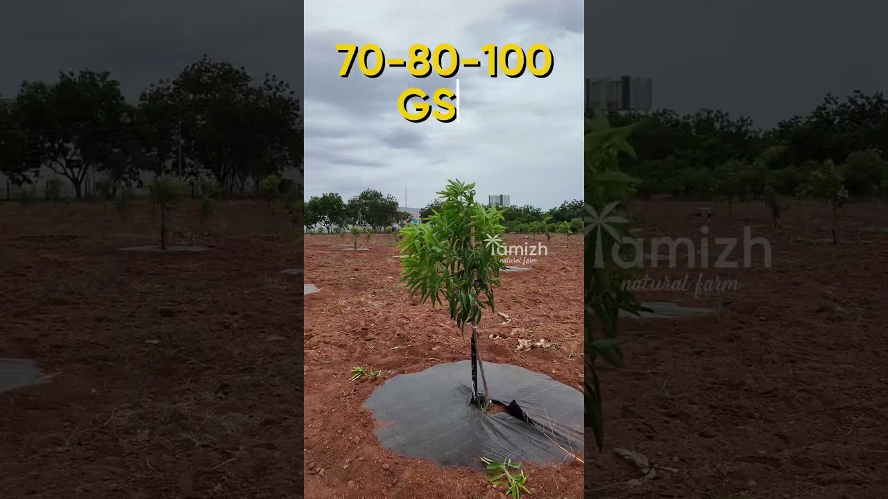 Stop Weeds Without Chemicals - Mulch Sheet #mulching #weeding #natural #farming