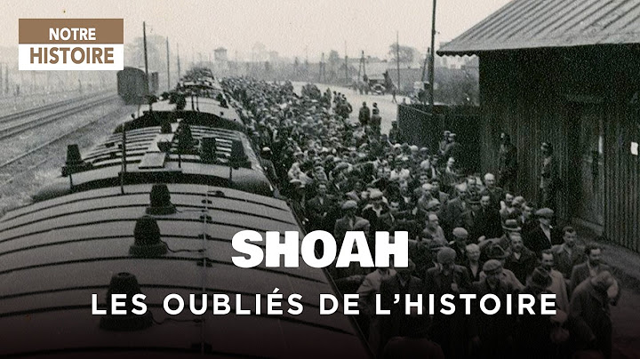 Shoah : les oubliés de l'histoire - Seconde Guerre Mondiale - Documentaire HISTOIRE - AT