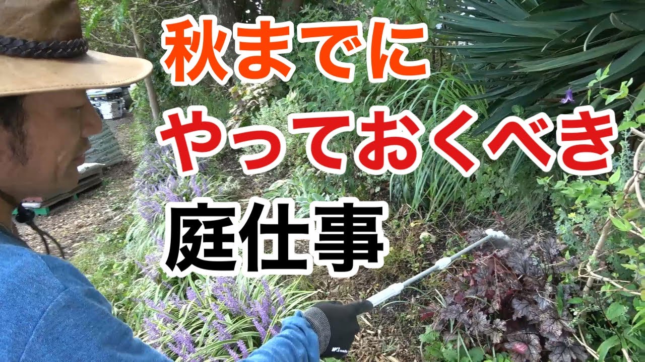 荒地リフォーム13 夏の終わりにやるべき作業教えます カーメン君 園芸 ガーデニング 初心者 Youtube 荒地リフォーム13 夏の終わりにやるべき作業教えます カーメン君 園芸 ガーデニング 初心者 Youtube