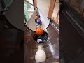 Marble Run (Reverse Playback Video No.1) #ASMR