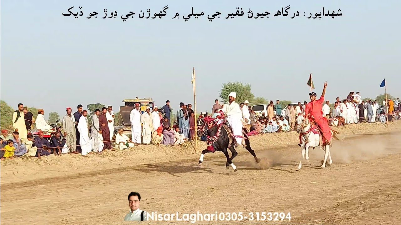 Ghora Raching Horses Race | Ghora Race 2023 in Sindh Mela | Horse racing | Ghora ...