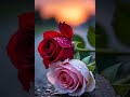 Kisiki yadon me #explore #love #hindisong #song #nature #viral #shorts #reels #music #foryou #india
