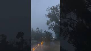 Hurricane Francine #shorts #short #hurricane
