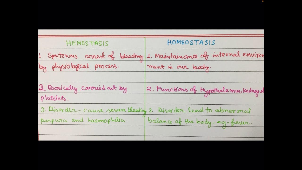 Difference between hemostasis and homeostasis. YouTube