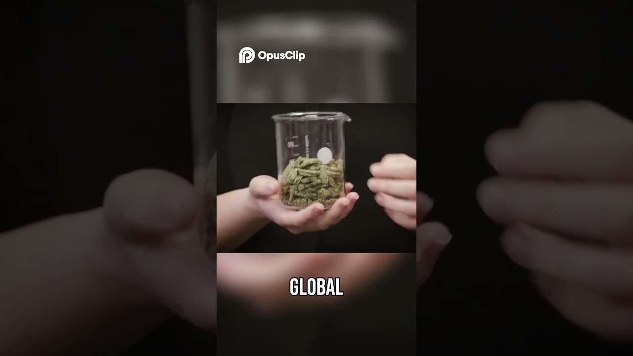 Tetra Pak - Inside the Food Packaging Innovation Hub