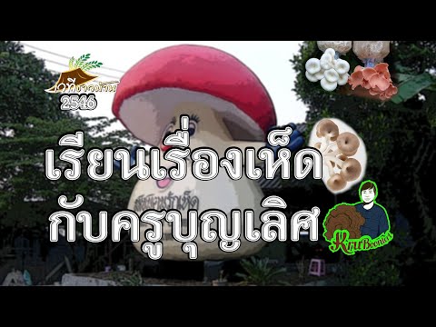 เรียนเรื่องเห็ดกับครูบุญเลิศ ศูนย์รวมสวนเห็ดบ้านอรัญญิก