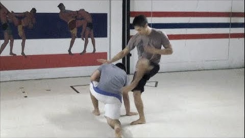 Pentjak Silat: Basic Entries & Sweeps