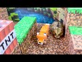 Super Real Minecraft Hamster Maze Scape