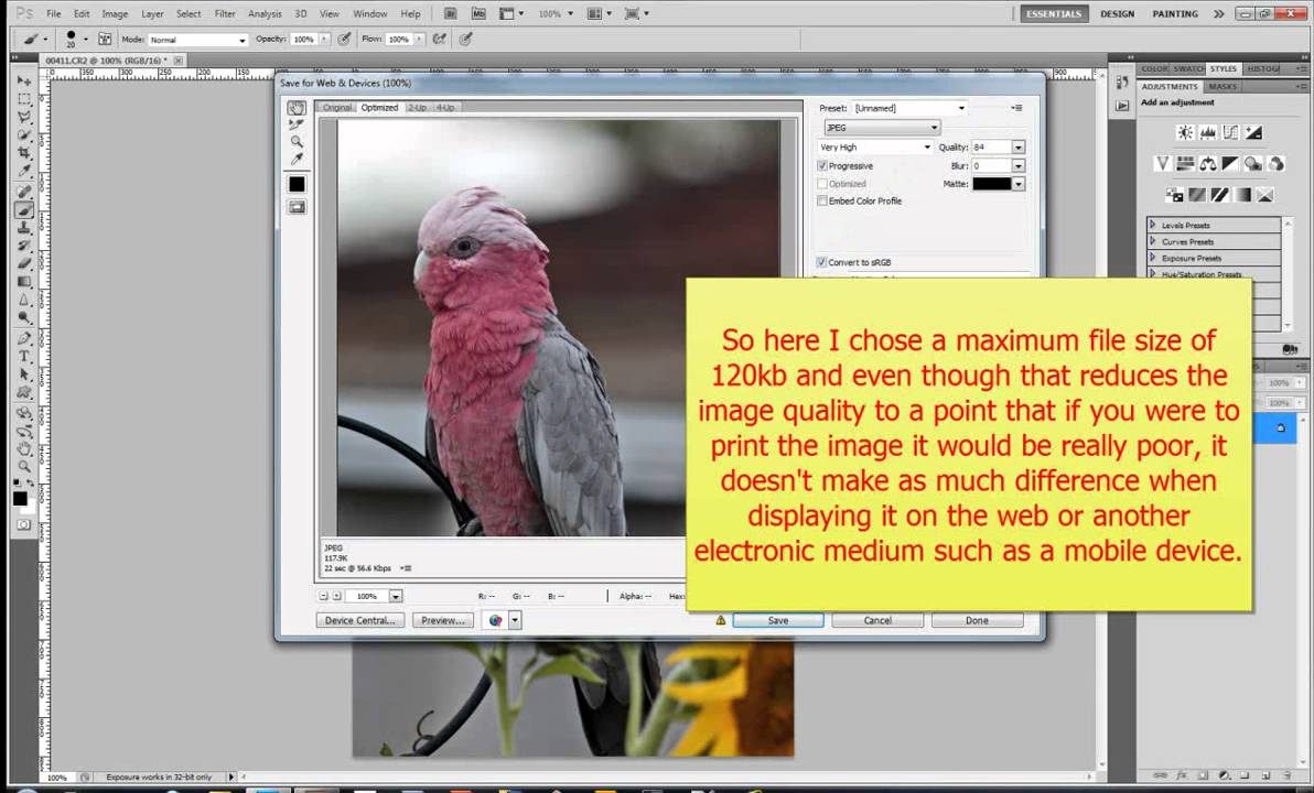 Saving For Web and Devices