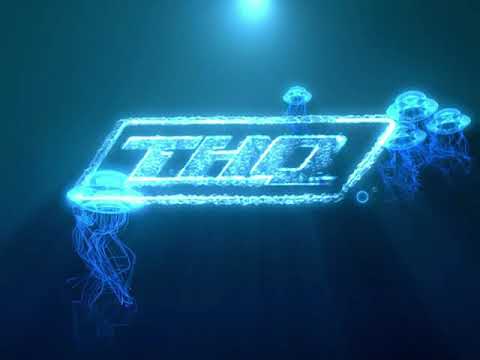 Nick Games Nickelodeon Movies THQ Heavy Iron Studios 2004 