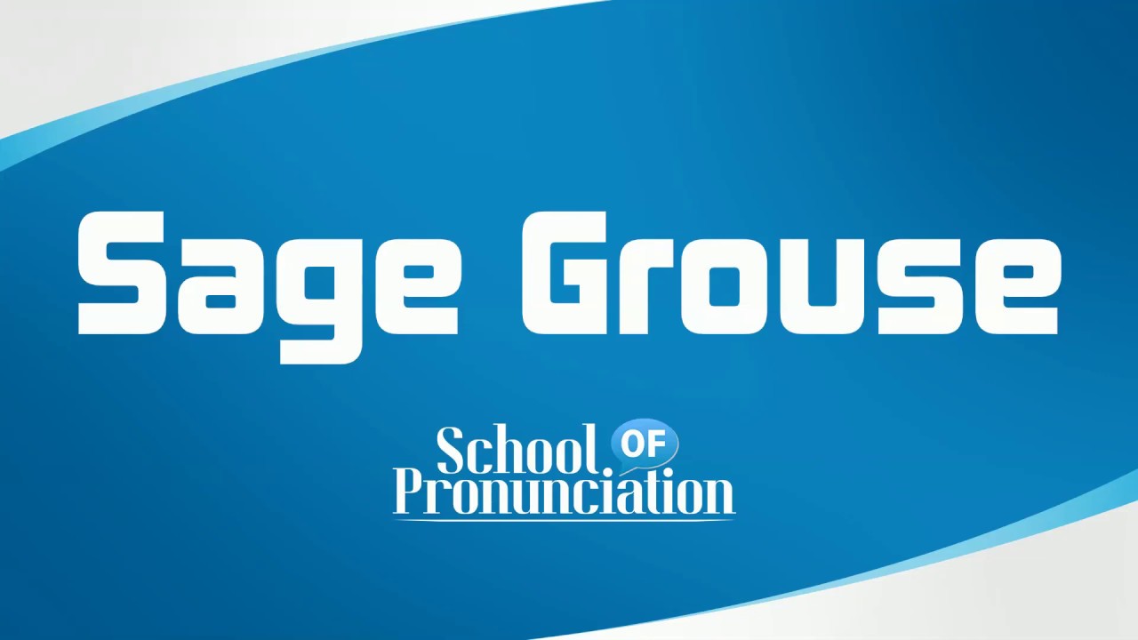 Learn How To Pronounce Sage Grouse YouTube learn-how-to-pronounce-sage-grouse-youtube