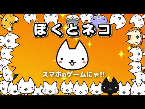 ぼくとネコ
