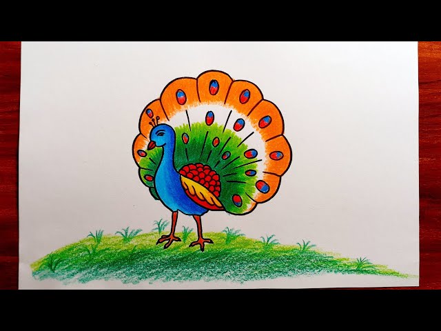 Free Bird drawing Templates - PikWizard