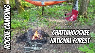 Free Camping  Chattahoochee National Forest