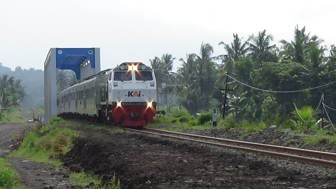 Kereta Api Online‼️HUNTING DI PERLINTASAN TIMUR STASIUN ARJASA JEMBER. SKF
