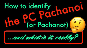 How to identify the PC Pachanoi (Pachanot)... and  is it really a San Pedro cactus?