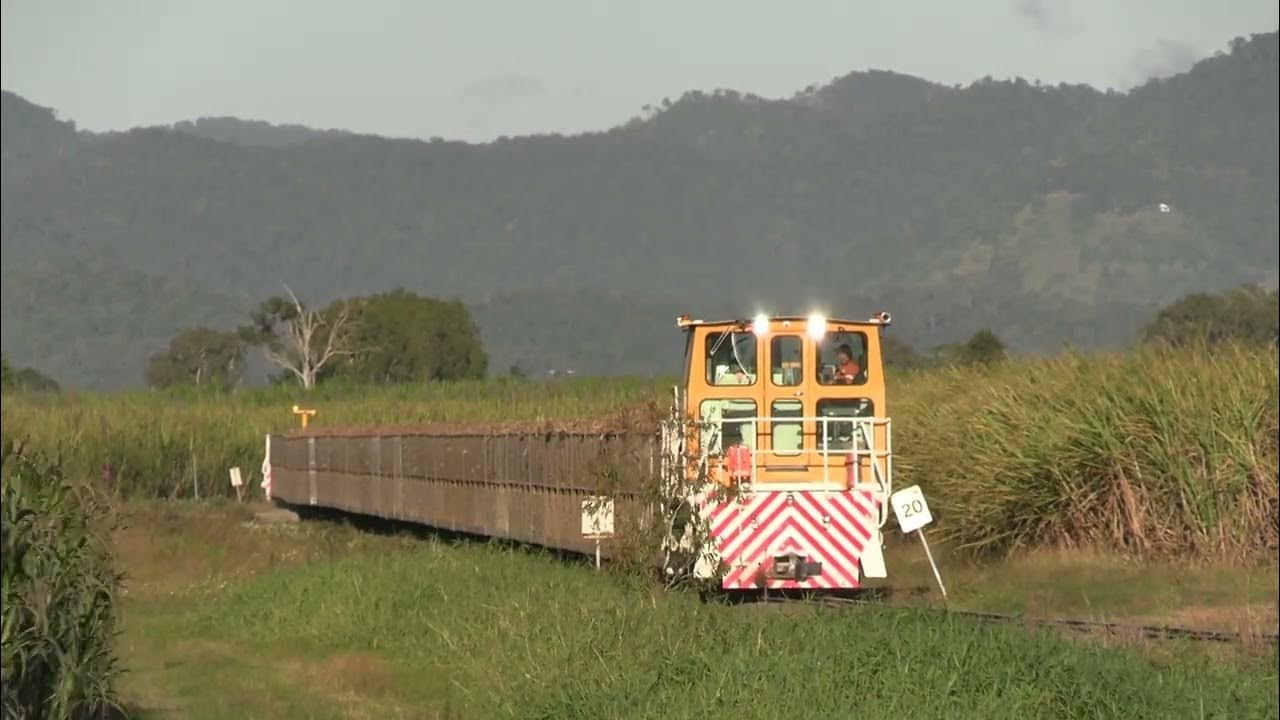 Queensland's Cane Trains Proserpine Mill Part 2 YouTube