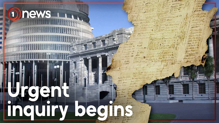 ACT Party proposes new Treaty of Waitangi definitions | 1News - DayDayNews