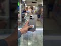 oppo A5 pro