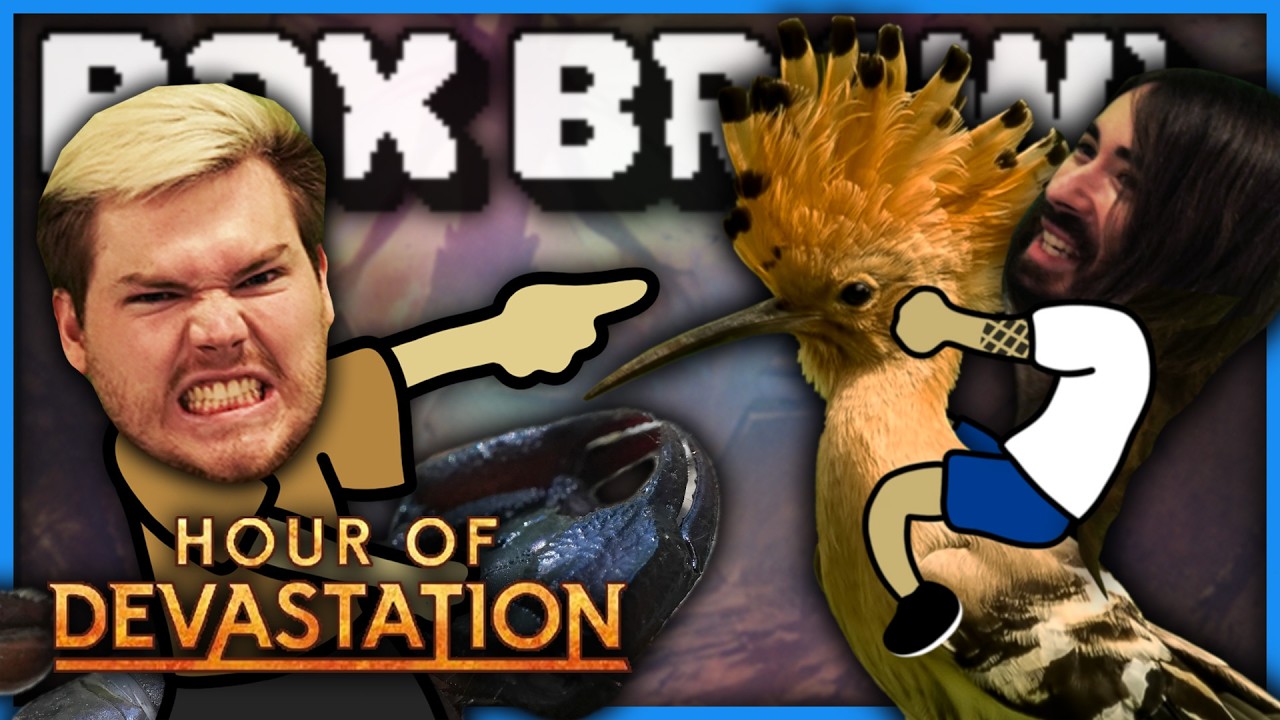 The Hoopoe Episode | Hour of Devastation Box Brawl (Commander) thumbnail
