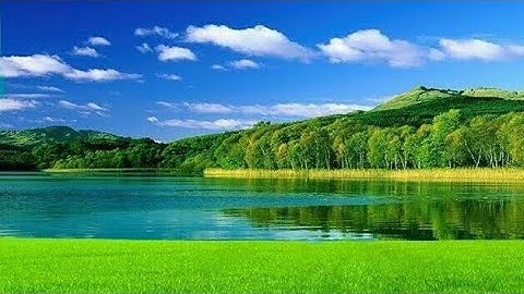 سورة البينة  كاملة للقارئ مشارى البغلى