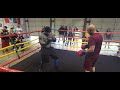 MIGHTY MOUSE "VS". SKILLED BOXER (texas)