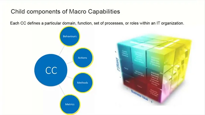 Architecture of IT-CMF
