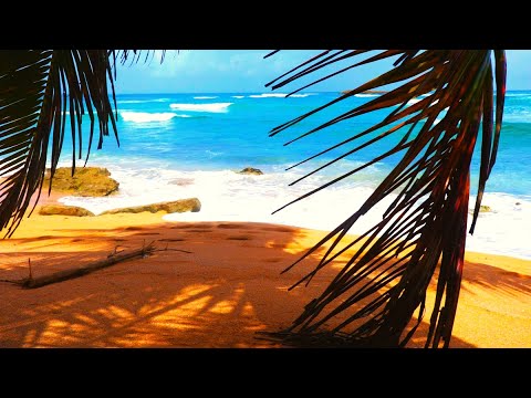 Relax With Soothing Island Waves For 20 Minutes Of Bliss