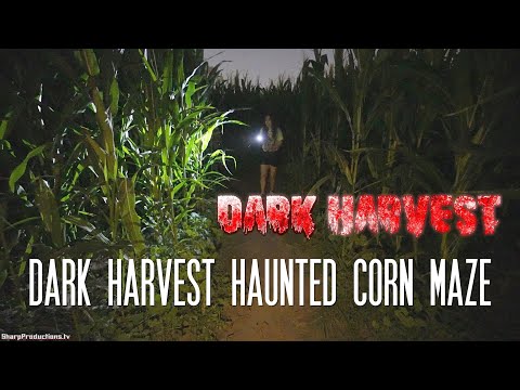 Video: Seattle Corn Mazes ja Pumpkin Patches