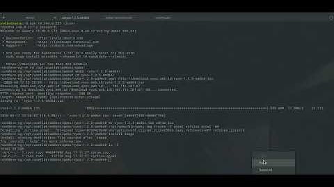 add image vyos in Eve-Ng