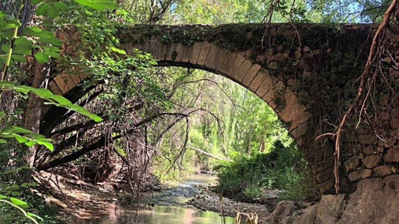 Revista de Taibilla. Nerpio