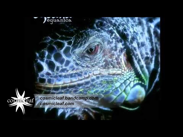 Eguana - The Sacred Memories