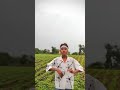Nambe Dur Janu Wo 🥺🩷 #aadivasi #song #timlisong #indas_barela , #aadiwasiboy