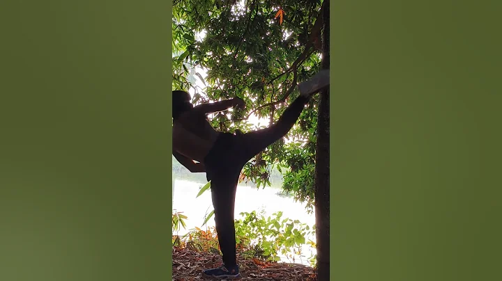 AGGRESSIVE 💀💀#mma#boxing#muaythai #kickboxing#fitness#training#gym #workout#motivation #taekwondo