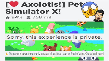 How To Unlock The Void Hacker Portal in Pet Simulator X. Why is pet simulator x not working. Update.