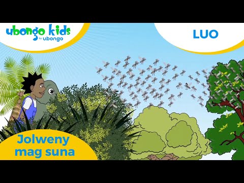 Luo | Jolweny mag suna | Ubongo Kids