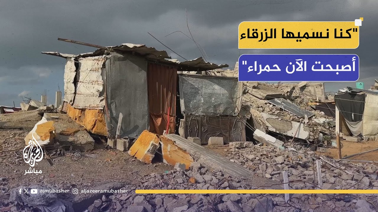 "نخلق فرصة للحياة من تحت الركام".. عزيمة لا تنكسر لأهالي غزة في منطقة الزرقاء