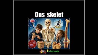 Ons skelet inkijkexemplaar groep 7 en 8
