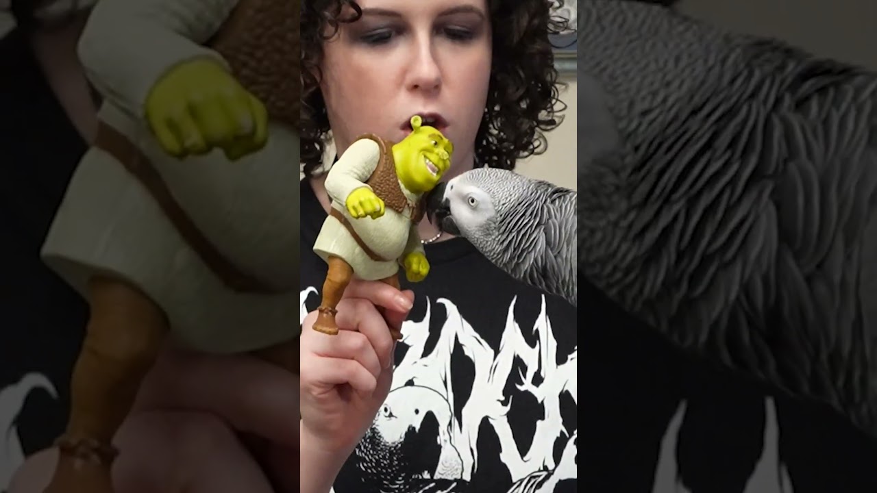 Who's This Lady? 🥸