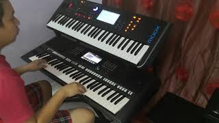 Download Lagu 双电子琴演奏 爱拼才会赢 (Cover by~Bu) MP3