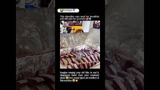 This Industrial Shredder Can Destroy Anything Turbo Land