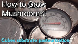 How to Grow mushrooms! Cube substrate method/recipe.