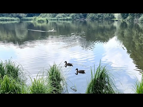 Happy Bastille Day (Joyeux Quatorze Juillet)